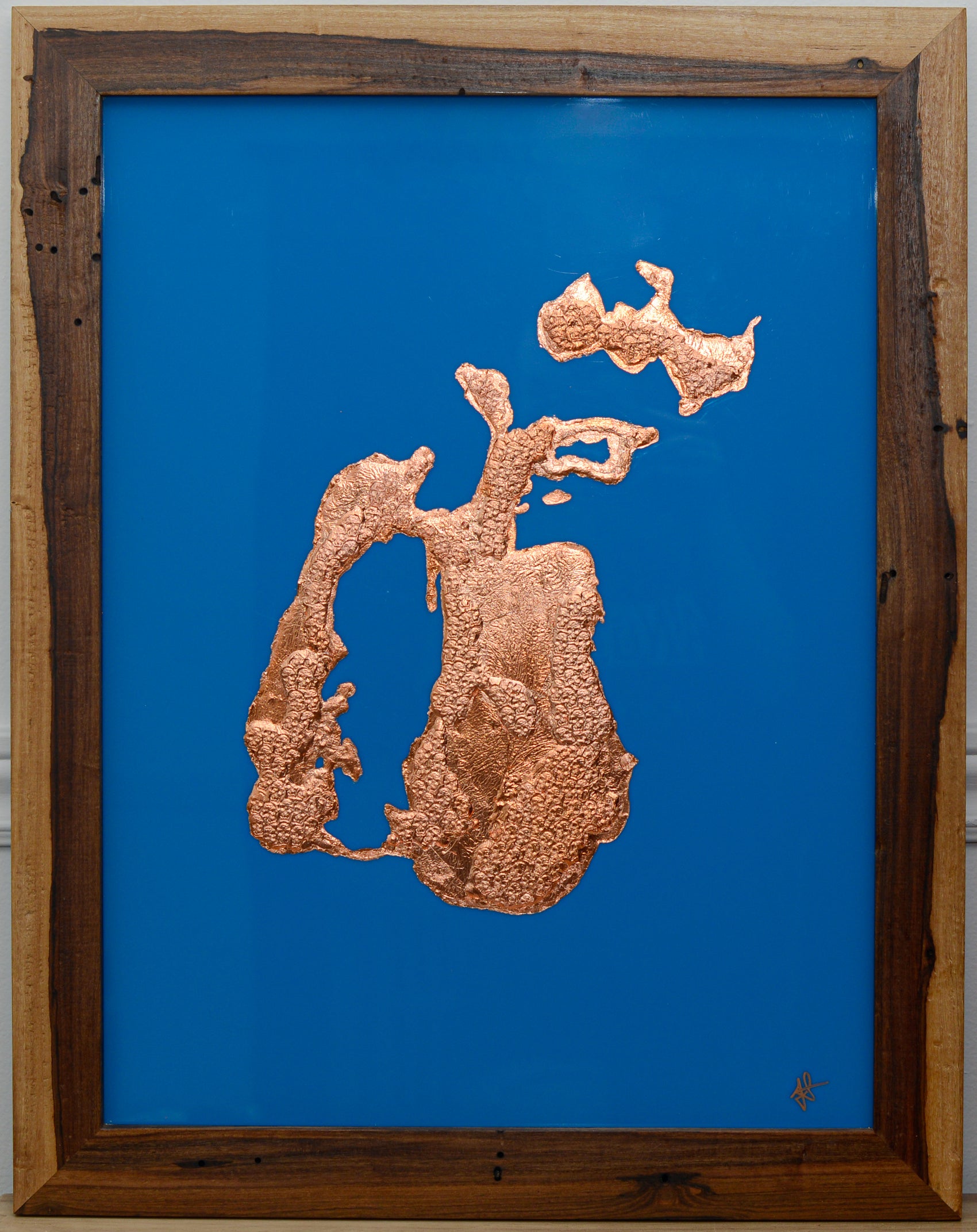 Aral Sea 2000